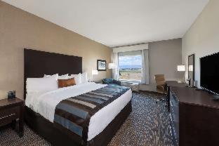Wyndham Garden Orlando Universal / I Drive Pokój zdjęcie